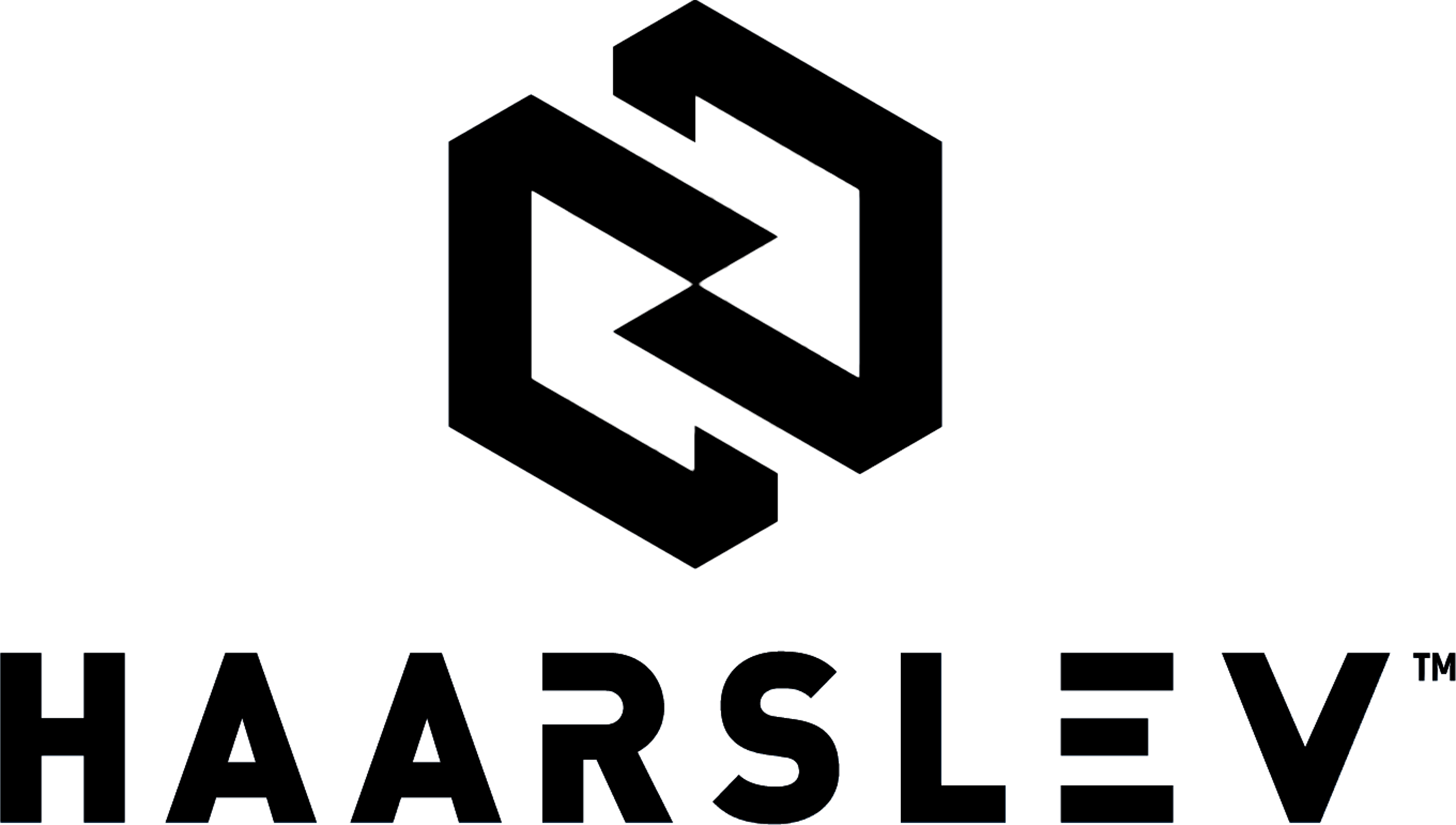 Haarslev Industries Logo